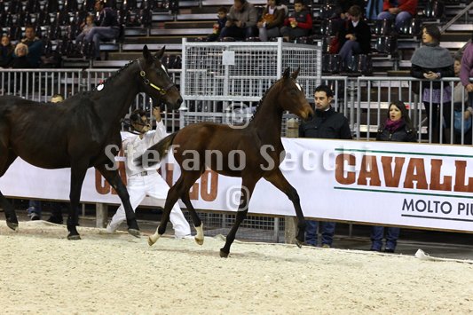 PAN CARRE_MILANO_2010_SS3_8380.jpg